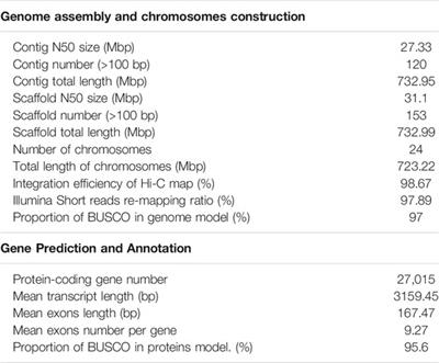 Chromosome-Level Assembly of the Southern Rock Bream (Oplegnathus fasciatus) Genome Using PacBio and Hi-C Technologies